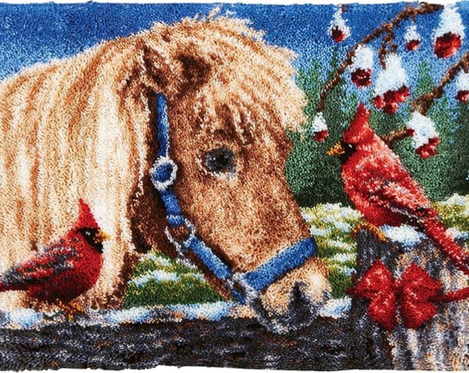 Rug Making Latch Hooking Kit | Horse Cardinal