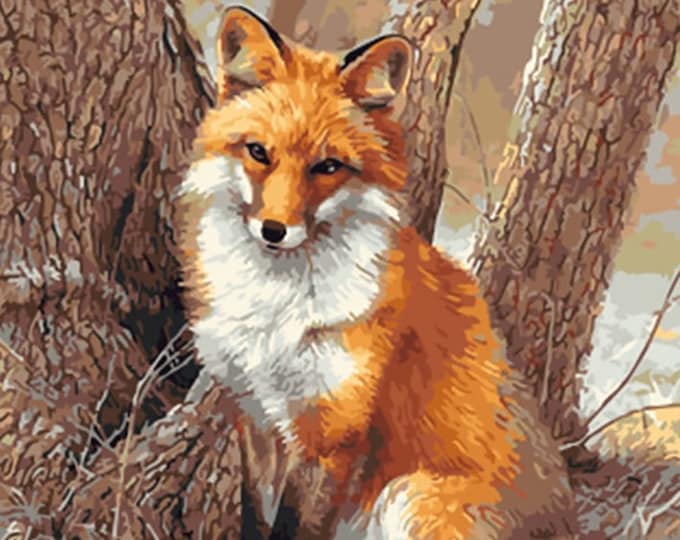 Paint By Numbers | Fox