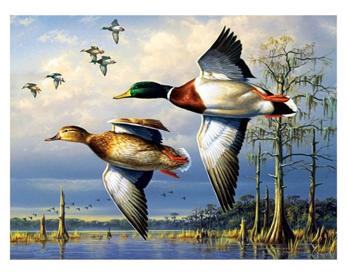 Paint By Numbers | Ducks