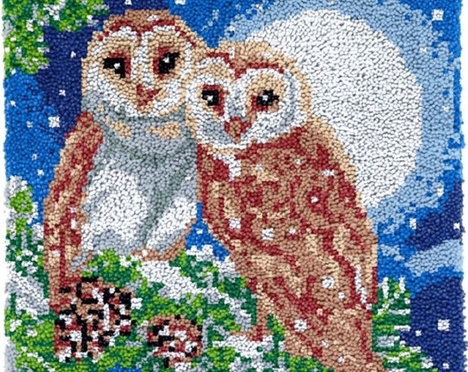Rug Making Latch Hooking Kit | Moon Owls
