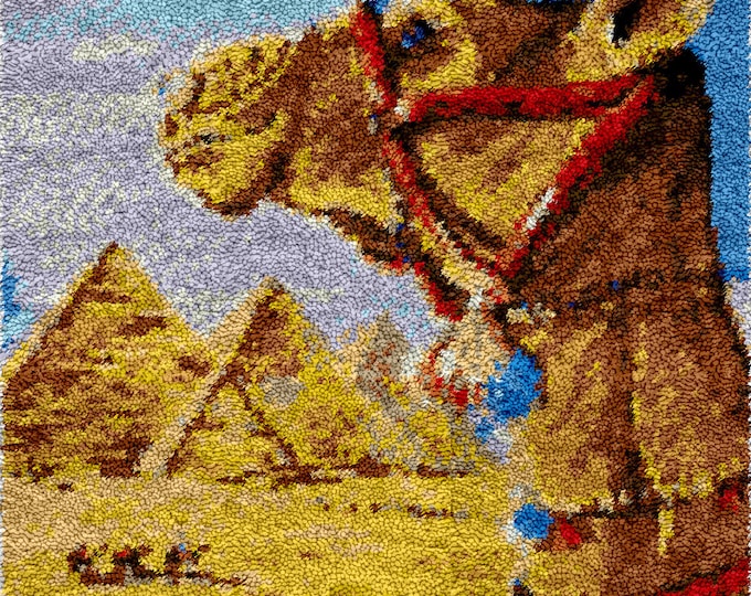 Rug Making Latch Hooking Kit | camelpyramids