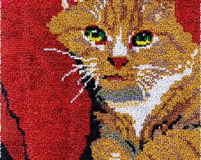 Rug Making Latch Hooking Kit | Cat on Red Sofa
