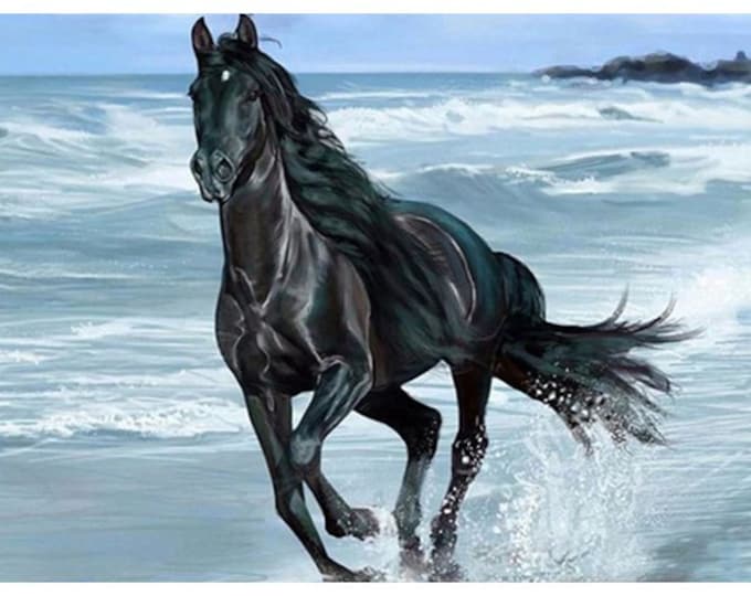 Paint By Numbers | Black Horse