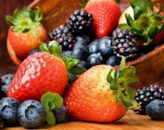 Paint By Numbers | Berries