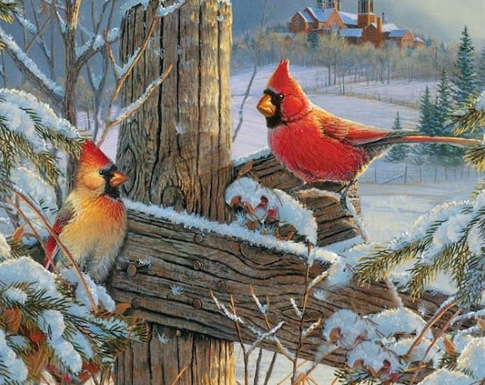 Cross Stitch Needlework Embroidery Kits | 2 Cardinals Winter (printed canvas)