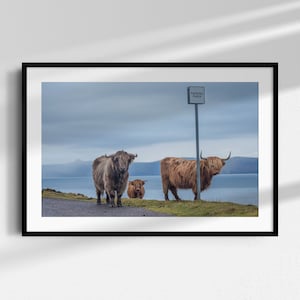 Scottish Roadside Photographic Fine Art Limited Edition Giclée Print Titled 'Passing Place'.