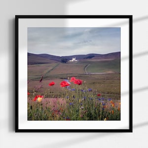 Castle photography, house warming gift, flower wall art, landscape photography, Scottish landscape photography, analogue photography