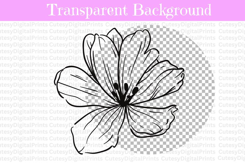 Flower Sketch Svg, Flower Outline Svg, Wildflower Svg, Flowers and