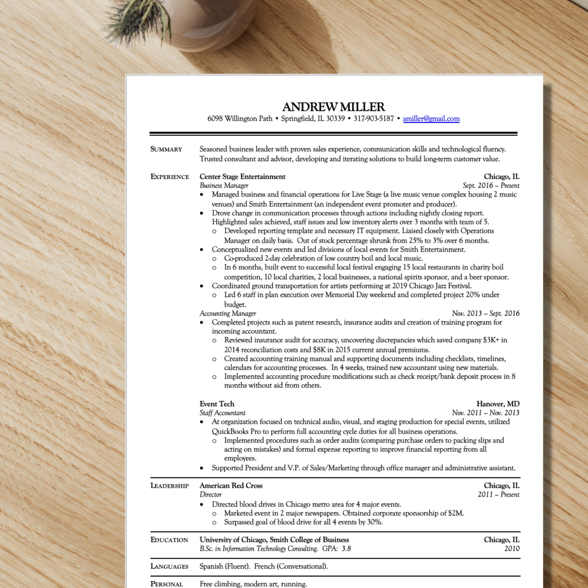 Executive Resume Template for Word, Modern CEO Resume Template ...