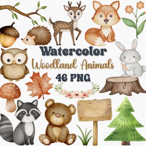 Watercolor Woodland Animals Clipart, Forest Animal PNG, Woodland Nursery Art, Cliparts for Invitations, Birthday, Baby Shower, Scrapbooking