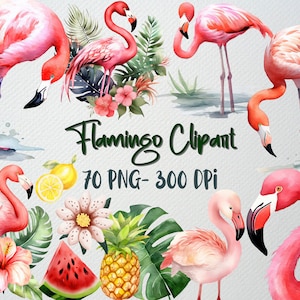 Watercolor Flamingo Clipart Set of 70 PNG Files, Cute Tropical Clip art, Summer Clipart, Bird Clipart, Summer Vibe, Instant Download