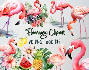 Clipart de flamencos en acuarela: conjunto de PNG tropicales (descarga instantánea)