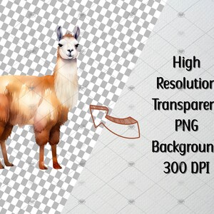 Llama Clipart, Hand Drawn Watercolor Llama Clipart Set of 43 PNG Files ...