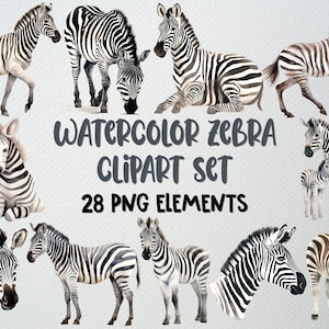 Aquarelle Zèbre Clipart lot de 28 fichiers PNG, Clipart animaux Safari, Zoo Clipart, Illustration zèbre, Clipart bébé zèbre, LICENCE COMMERCIALE