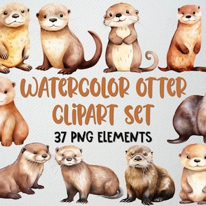 Aquarell Otter Clipart Set mit 37 PNG, niedlichen Otter Clipart, Seeotter Clipart, Baby Otter Clipart, Otter Illustration, KOMMERZIELLE LIZENZ