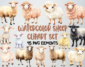 Watercolor Sheep Clipart: Farm Animal PNG Set (Commercial License)