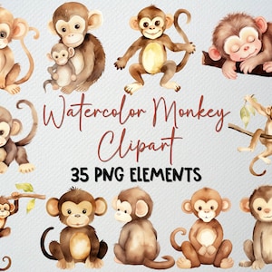 Conjunto de clipart de macaco aquarela com 35 arquivos PNG, clipart de macaco fofo, clipart de animal de zoológico, clipart de macaco bebê, LICENÇA COMERCIAL