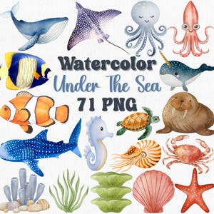 Aquarelle sous la mer PNG, Clipart océan, créatures marines, baleine, dauphin, corail, méduse, décoration baby shower, clipart nautique, 71 PNG