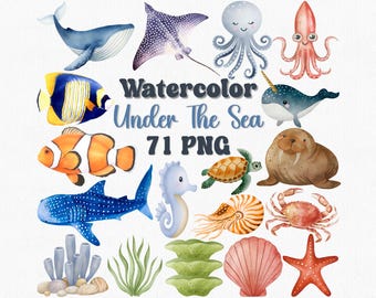 Aquarell Meerestiere Clipart: 71 PNG Grafiken (Digitaler Download)