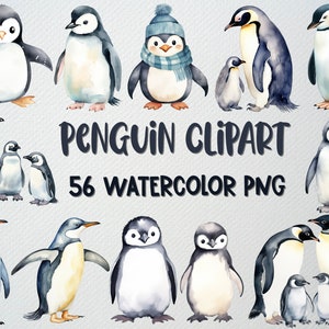 Watercolor Penguin Clipart Set Of 56 PNG Files, Baby Penguin Clipart, Cute Penguin Clipart, Winter Animal Clipart, COMMERCIAL LICENSE