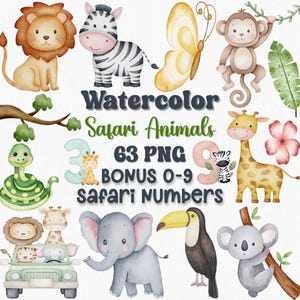 Ensemble de cliparts aquarelle animaux de safari, 63 PNG + numéros bonus de 0 à 9, Shower de bébé dans la jungle, art animalier sauvage pour chambre d'enfant, clipart d'anniversaire Safari