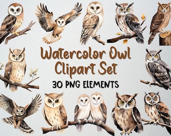 Watercolor Owl Clipart Set: 30 PNG Illustrations (Commercial License)