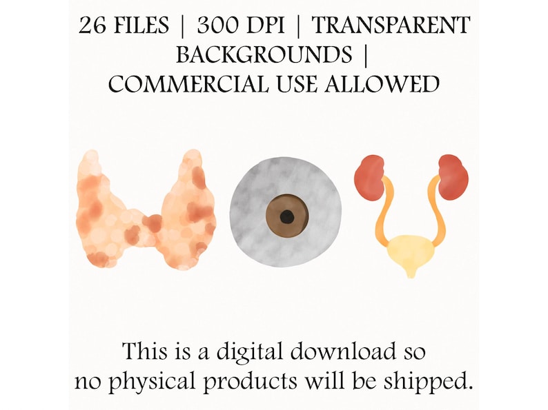 Watercolor Human Anatomy Clipart Set, Medical Illustrations, Science ...