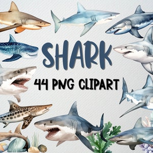 Aquarell Hai Clipart-Set mit 44 Png-Dateien, Hai PNG, Ozean Clipart, Sea Life Clipart, niedlicher Hai Clipart, KOMMERZIELLE LIZENZ