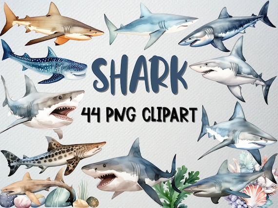 Watercolor Shark Clipart Set: 44 Sea Life PNG Files (Commercial License)
