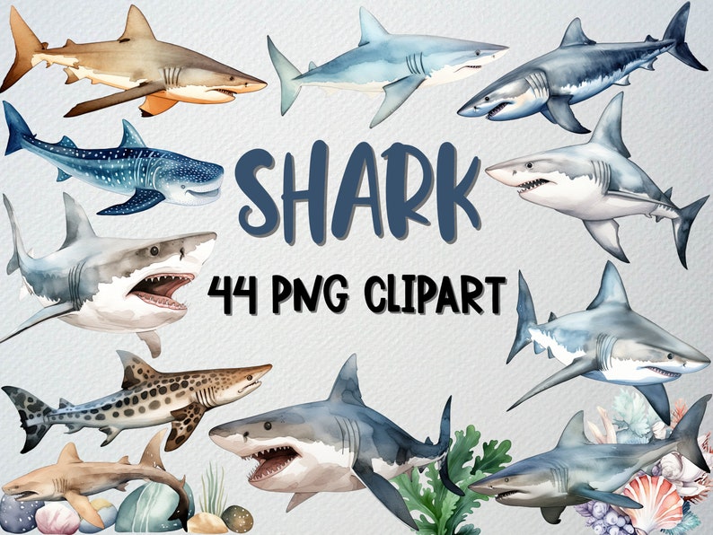 Op de afbeelding: Een set van 44 aquarel illustraties van haaien in verschillende poses. De illustraties zijn in tinten blauw, grijs, bruin en wit. De tekst "SHARK 44 PNG CLIPART" is geschreven in blauwe letters op een grijze achtergrond.