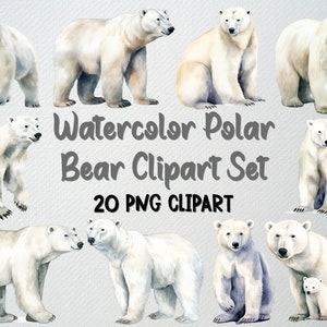 Aquarelle ours polaire Clipart lot de 20 fichiers PNG, clipart animaux d'hiver, clipart animaux de l'Arctique, Illustration d'ours polaire, ours polaires Png