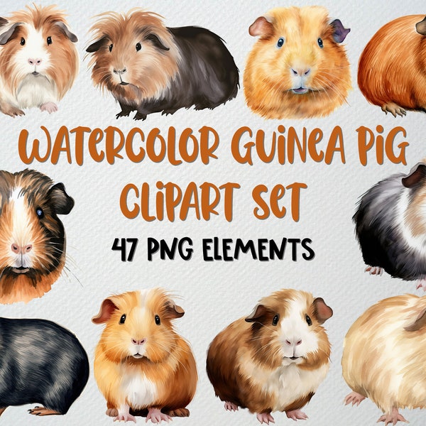 Watercolor Guinea Pig Clipart Of 47 PNG Files, Guinea Pig Illustration, Pet Clipart, Cute Guinea Pig Png, Rodent Clipart, COMMERCIAL LICENSE