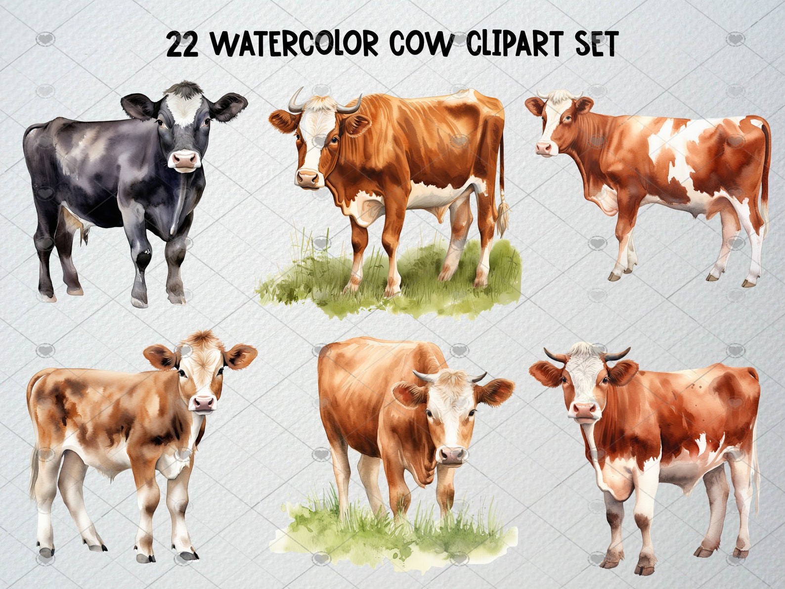 Watercolor Cow Clipart Set of 22 PNG Files, Cow Illustration, Baby Cow ...