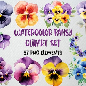Conjunto de clipart de amor-perfeito aquarela com 37 arquivos PNG, clipart de amores-perfeitos, flor roxa PNG, clipart de flor de primavera, gráficos de amor-perfeito, LICENÇA COMERCIAL