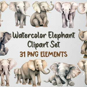 Conjunto de clipart de elefante aquarela com 31 arquivos PNG, ilustração de elefante, clipart de animal fofo, bebê elefante png, LICENÇA COMERCIAL