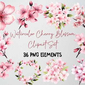 Conjunto de clipart de flor de cerejeira em aquarela, clipart floral, ilustração de flor de cerejeira, flor rosa png, clipart de sakura, LICENÇA COMERCIAL