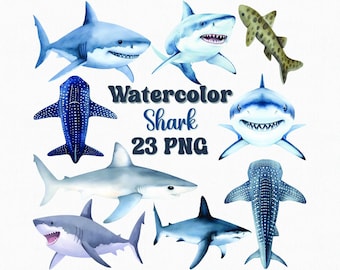 Watercolor Shark Clipart Set, Ocean Animals (23 PNG)