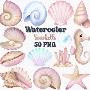 Watercolor Seashell Clipart Set, 50 PNG Files, Beach Ocean Shells, Coastal Summer Clip Art, Sea Life Digital Download, Beach Wedding Png