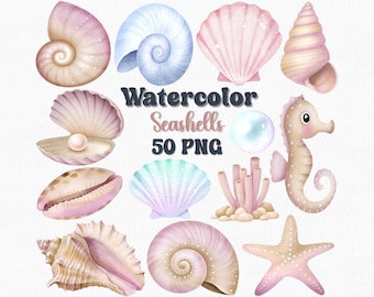 Conjunto de imágenes prediseñadas de conchas marinas en acuarela: 50 imágenes PNG costeras (descarga digital)