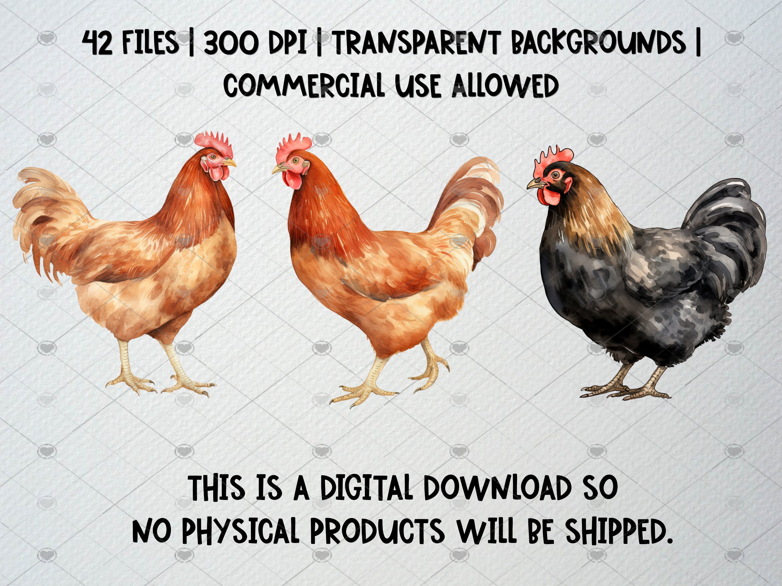 Watercolor Chicken Clipart Set: Farm Animal PNG Graphics (commercial ...