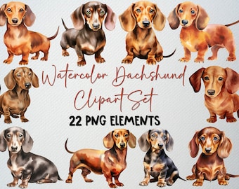 Watercolor Dachshund Clipart Set Of 22 PNG Files, Dachshund Illustration, Weiner Dog Clipart, Pet Dog Clipart, Cute Dog, COMMERCIAL LICENSE