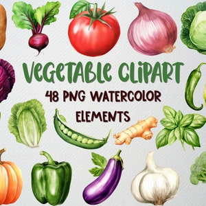 Ensemble de 48 fichiers PNG aquarelle de légumes, clipart végétarien, nourriture clipart, clipart citrouille, carotte Clipart, licence commerciale