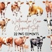Watercolor Cow Clipart Set of 22 PNG Files, Cow Illustration, Baby Cow ...