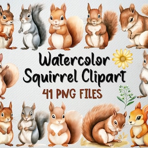 Aquarelle écureuil Clipart lot de 41 fichiers PNG, Clipart animaux de la forêt, automne Clipart, Clipart animaux de la forêt, licence commerciale