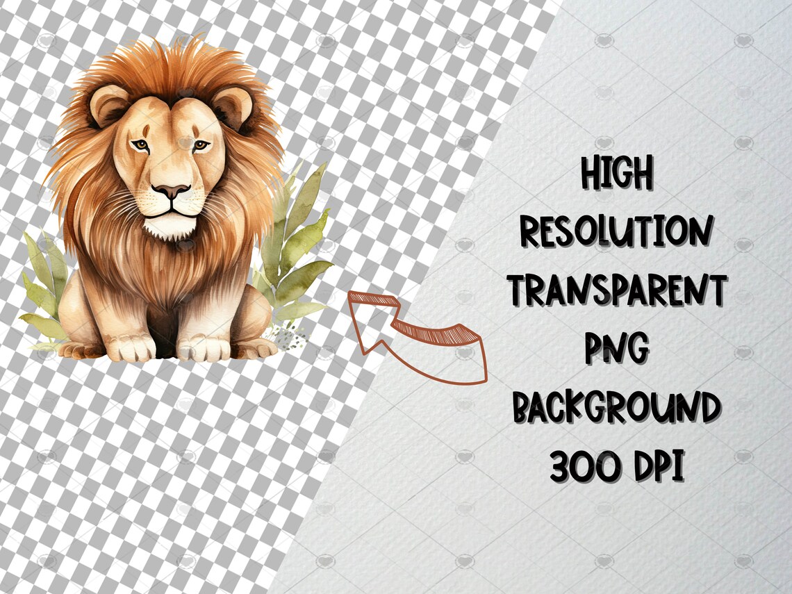 Watercolor Lion Clipart Set of 30 PNG Files Lion Head - Etsy Canada