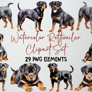Watercolor Rottweiler Clipart Set Of 29 PNG Files, Pet Dog Clipart, Rottweiler Illustration, Cute Rottweiler Clipart, COMMERCIAL LICENSE