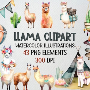Imágenes prediseñadas de llama, imágenes prediseñadas de llama en acuarela dibujadas a mano (43 archivos PNG), imágenes prediseñadas de alpaca, imágenes prediseñadas de cactus (Llama linda PNG), imágenes prediseñadas de llama para fiestas