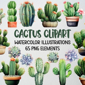 Conjunto de 65 imágenes prediseñadas de cactus, imágenes prediseñadas de cactus en acuarela, imágenes prediseñadas de suculentas, imágenes prediseñadas de vegetación, imágenes prediseñadas botánicas, cactus lindos PNG