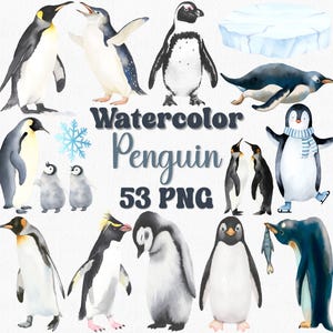 Aquarelle pingouin Clipart ensemble - 53 PNG, Clipart pingouin mignon, hiver animal PNG, bébé pingouin, animaux de l'Arctique, travaux manuels, faire-part