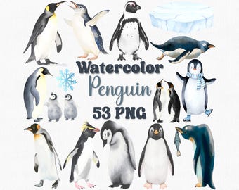 Watercolor Penguin Clipart Set: 53 Winter Animal PNGs (Digital Download)